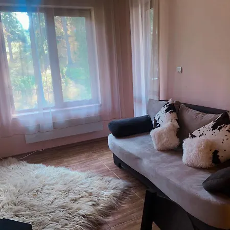 Apartment Evrika 19 Pamporovo