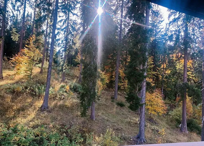 Evrika 19 Apartment Pamporovo