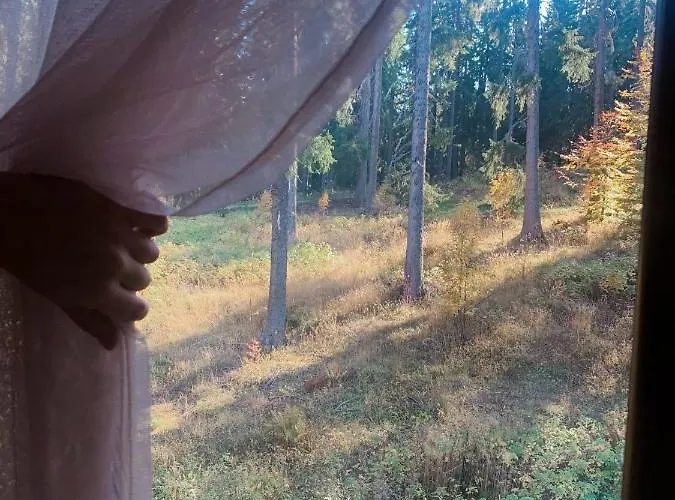 Evrika 19 Apartment Pamporovo