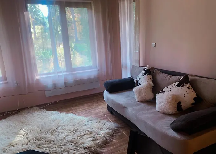 Apartment Evrika 19 Pamporovo